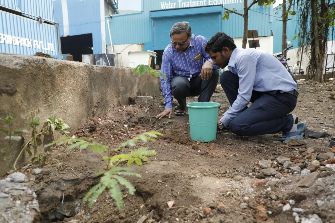 WTE Tree Plantation Drive