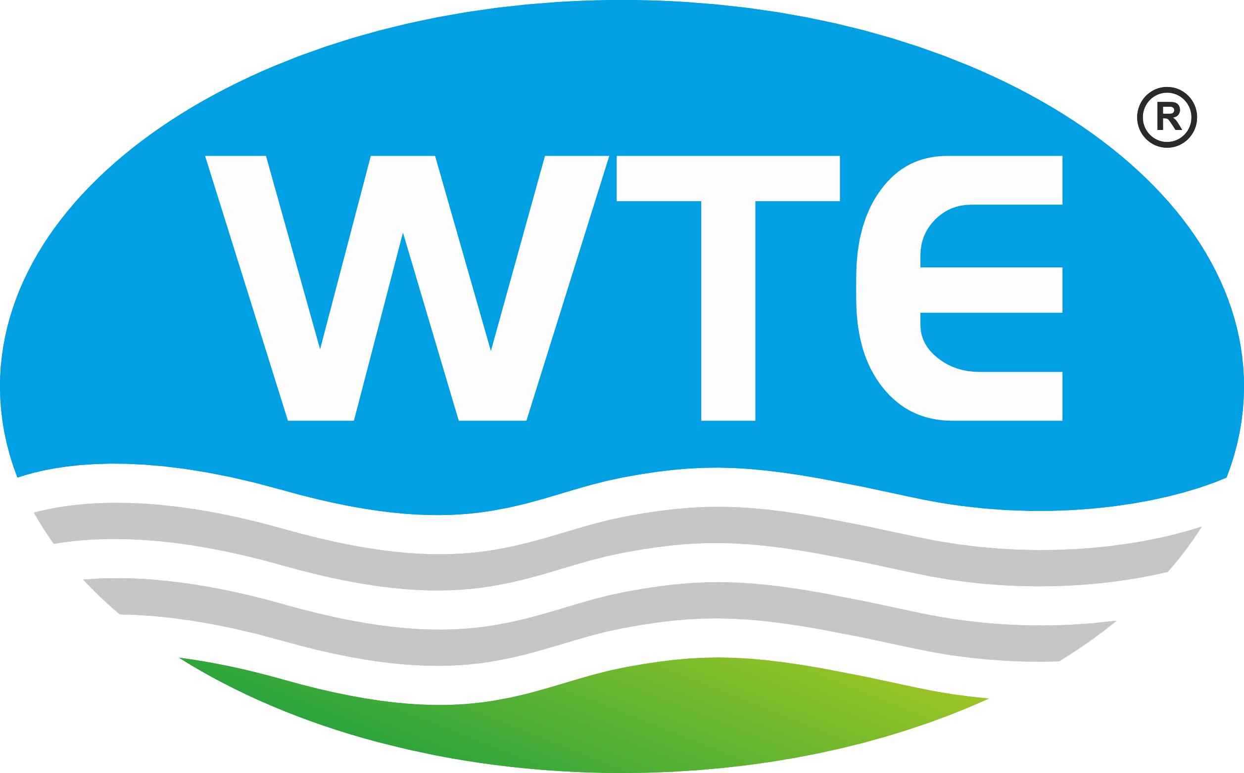 WTE Logo